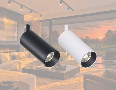 NUEVO ZENT 10W Y 15W